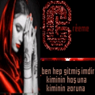 CEMRE06